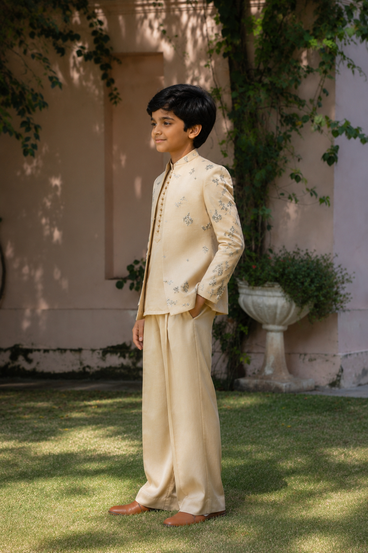 ANEEV INDO-WESTERN SET