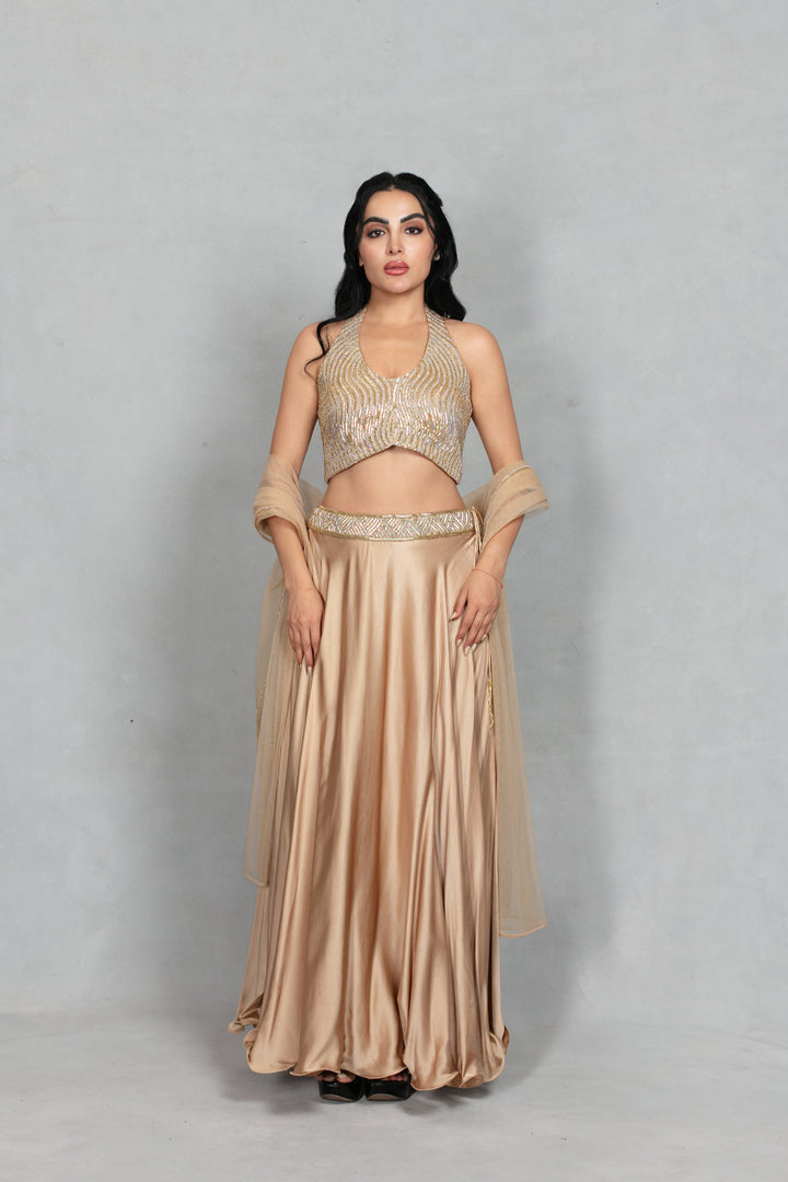 Leher Lehenga Set with Dupatta in Beige gold