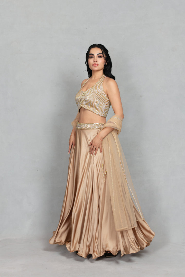 Leher Lehenga Set with Dupatta in Beige gold