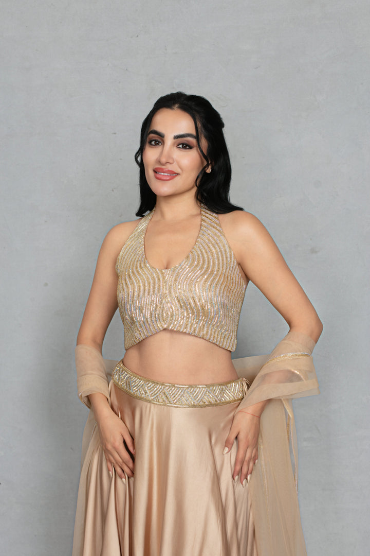 Leher Lehenga Set with Dupatta in Beige gold