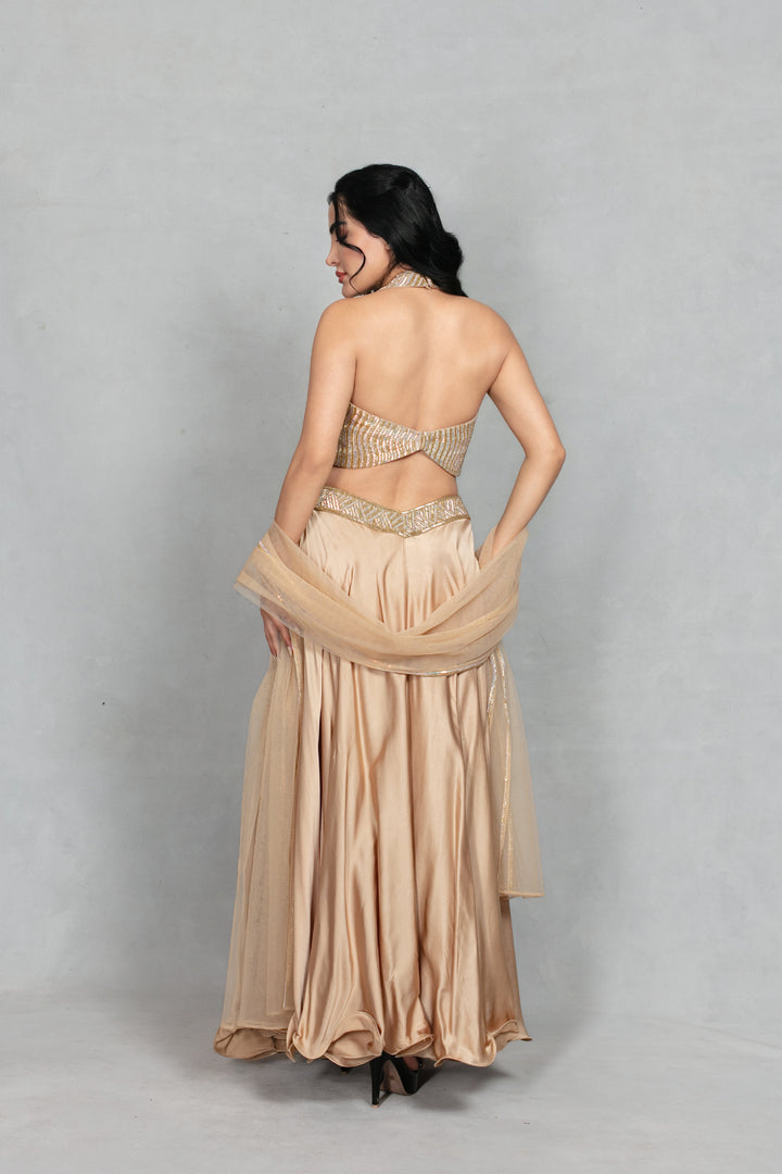 Leher Lehenga Set with Dupatta in Beige gold