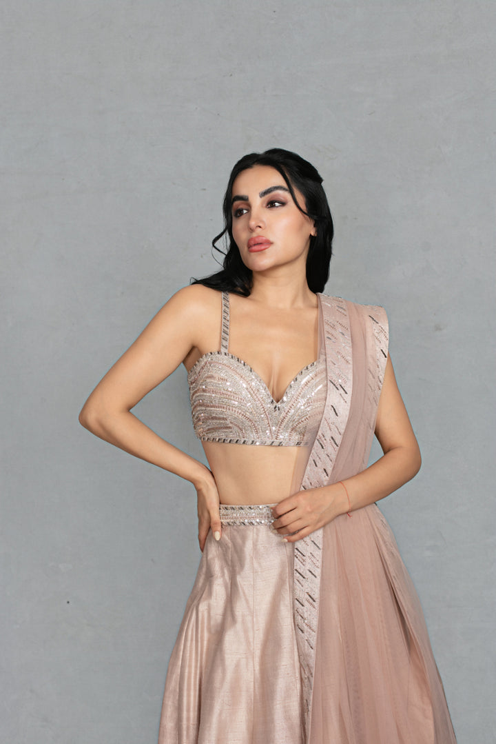 Zarkashi Lehenga Set in Champagne